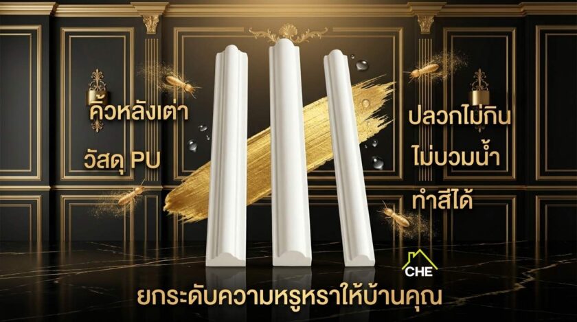 คิ้วหลังเต่า