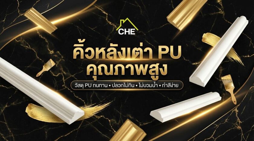 คิ้วหลังเต่า