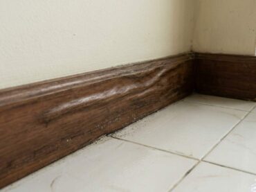 บัวไม้บวม