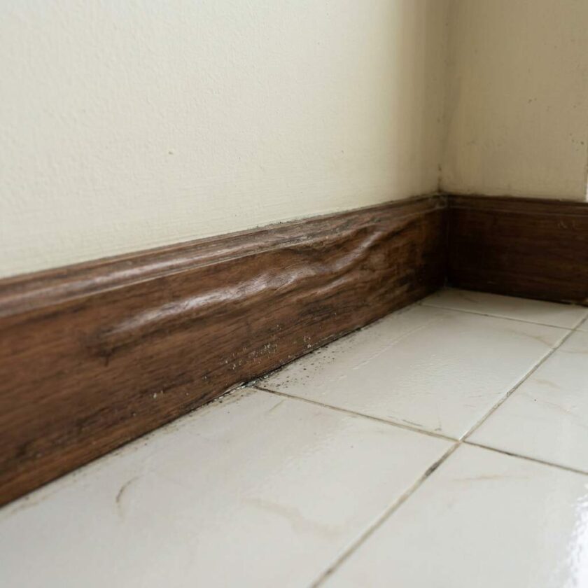 บัวไม้บวม